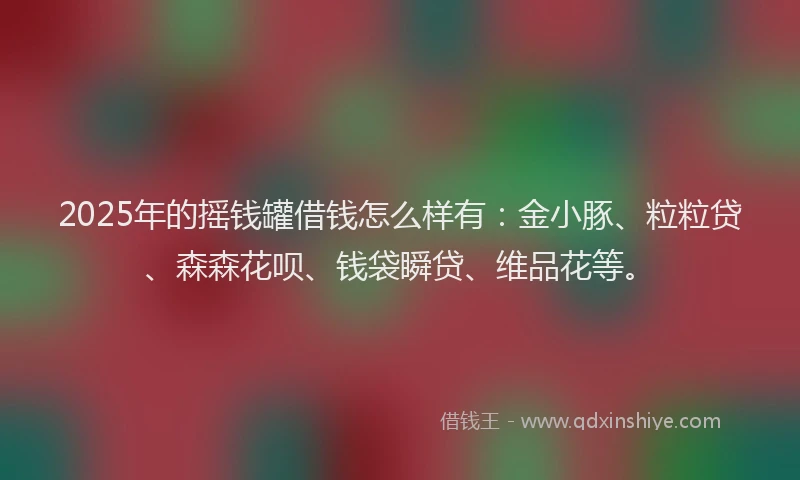 2025年的摇钱罐借钱怎么样有：金小豚、粒粒贷、森森花呗、钱袋瞬贷、维品花等。