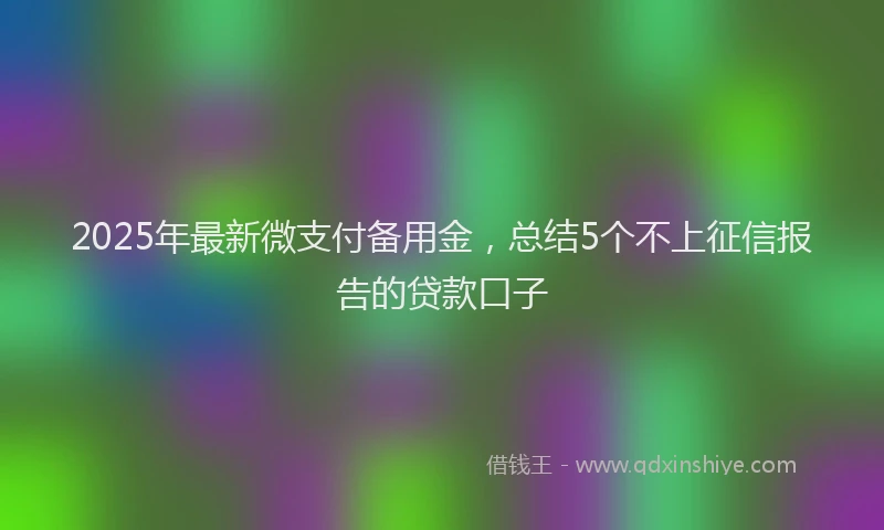2025年最新微支付备用金，总结5个不上征信报告的贷款口子