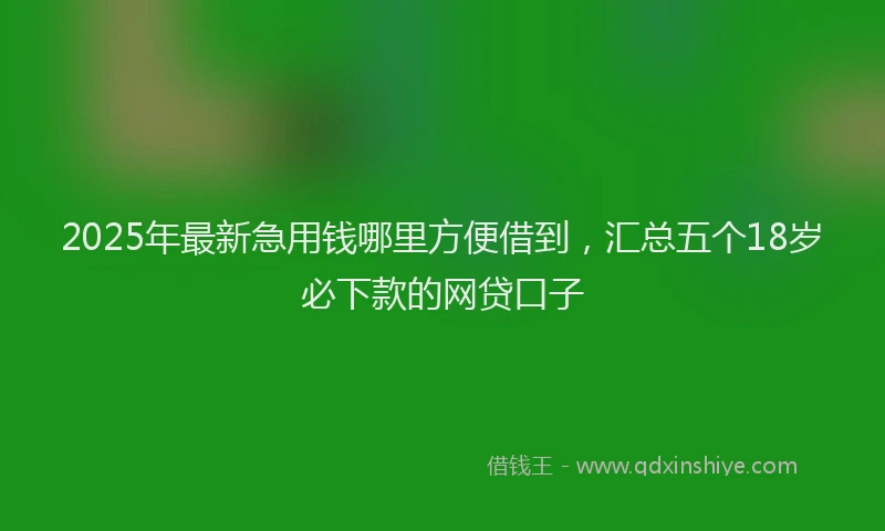 2025年最新急用钱哪里方便借到，汇总五个18岁必下款的网贷口子