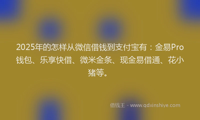 2025年的怎样从微信借钱到支付宝有：金易Pro钱包、乐享快借、微米金条、现金易借通、花小猪等。