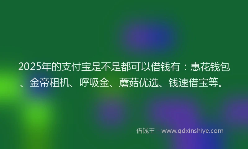 2025年的支付宝是不是都可以借钱有：惠花钱包、金帝租机、呼吸金、蘑菇优选、钱速借宝等。