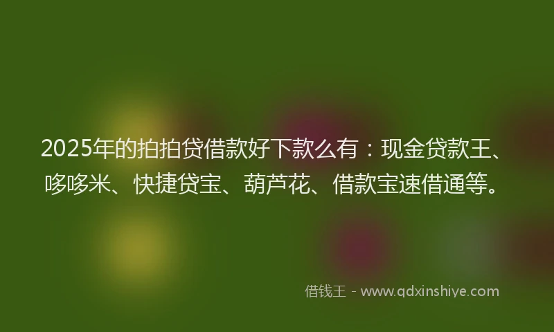 2025年的拍拍贷借款好下款么有：现金贷款王、哆哆米、快捷贷宝、葫芦花、借款宝速借通等。