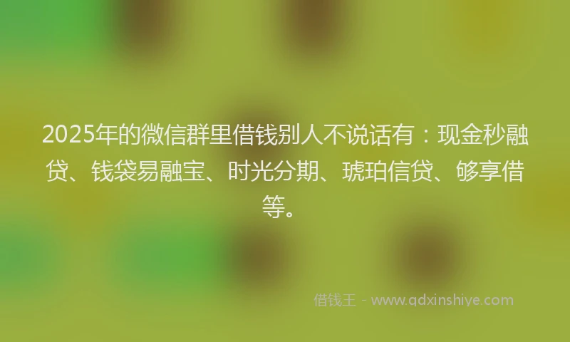 2025年的微信群里借钱别人不说话有：现金秒融贷、钱袋易融宝、时光分期、琥珀信贷、够享借等。