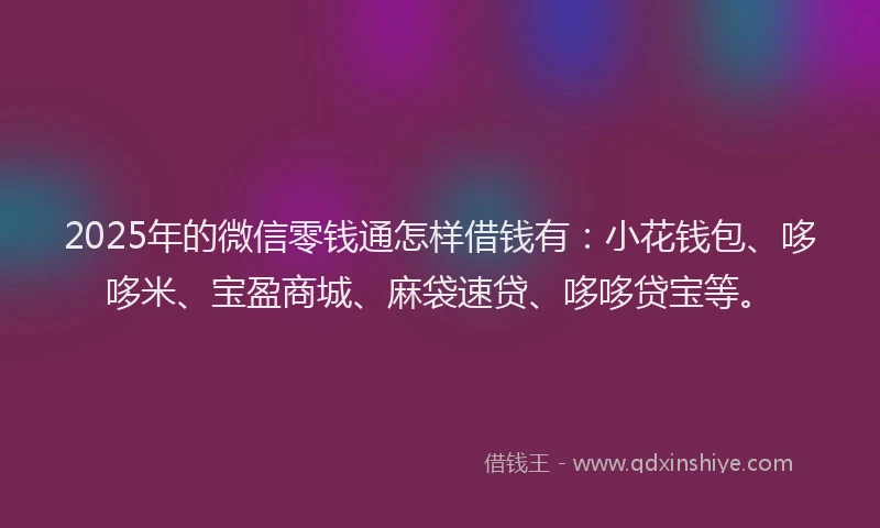 2025年的微信零钱通怎样借钱有：小花钱包、哆哆米、宝盈商城、麻袋速贷、哆哆贷宝等。