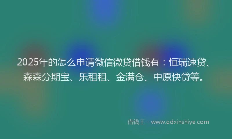 2025年的怎么申请微信微贷借钱有：恒瑞速贷、森森分期宝、乐租租、金满仓、中原快贷等。