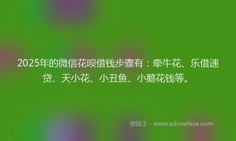 2025年的微信花呗借钱步骤有：牵牛花、乐借速贷、天小花、小丑鱼、小鹅花钱等。