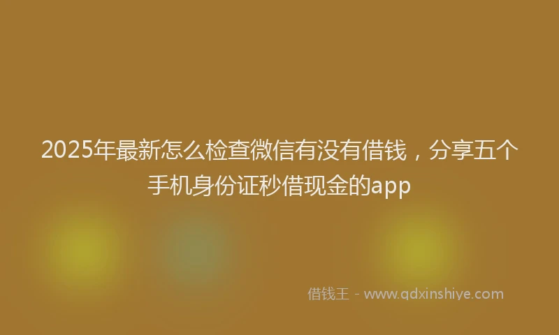 2025年最新怎么检查微信有没有借钱，分享五个手机身份证秒借现金的app