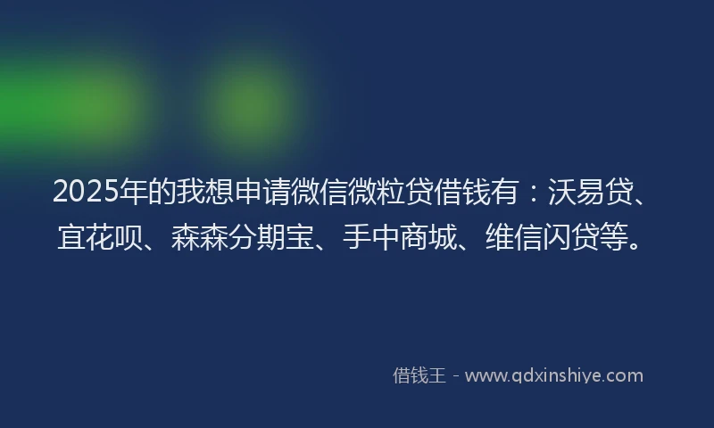 2025年的我想申请微信微粒贷借钱有：沃易贷、宜花呗、森森分期宝、手中商城、维信闪贷等。