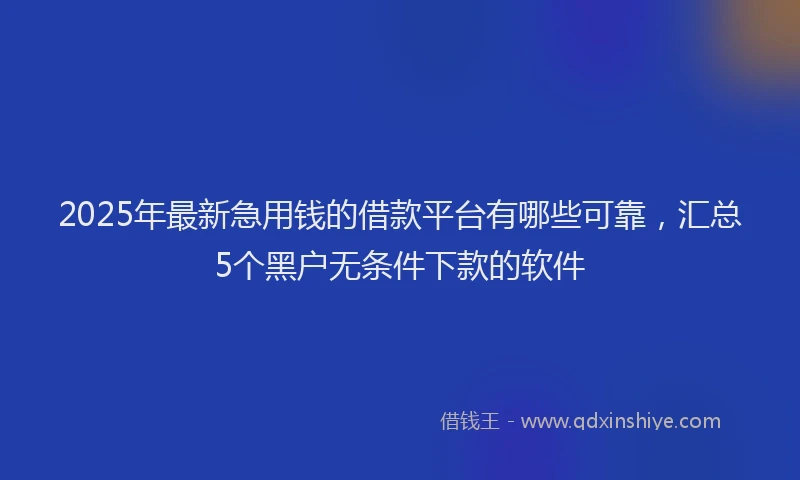 2025年最新急用钱的借款平台有哪些可靠，汇总5个黑户无条件下款的软件