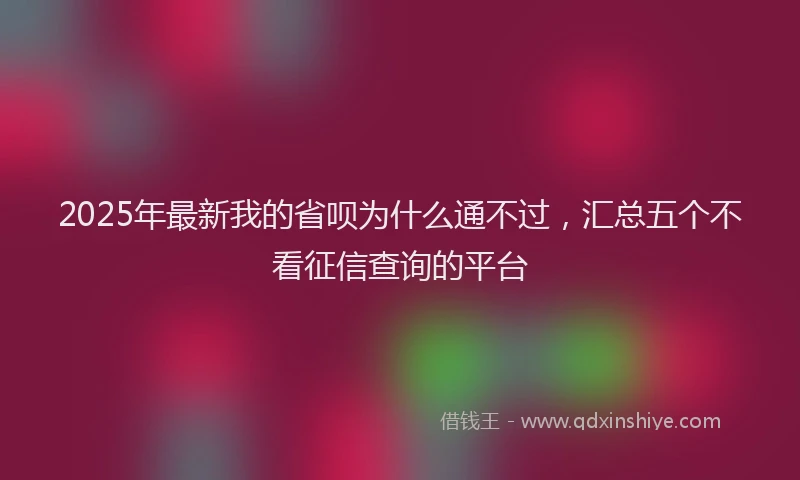 2025年最新我的省呗为什么通不过，汇总五个不看征信查询的平台