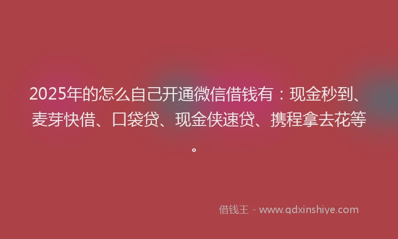 2025年的怎么自己开通微信借钱有：现金秒到、麦芽快借、口袋贷、现金侠速贷、携程拿去花等。