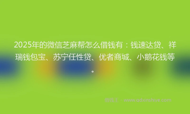 2025年的微信芝麻帮怎么借钱有：钱速达贷、祥瑞钱包宝、苏宁任性贷、优者商城、小鹅花钱等。