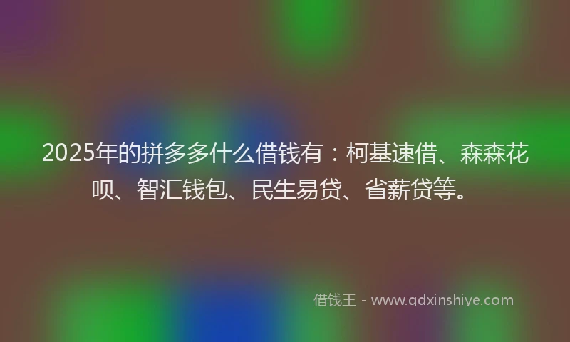 2025年的拼多多什么借钱有：柯基速借、森森花呗、智汇钱包、民生易贷、省薪贷等。