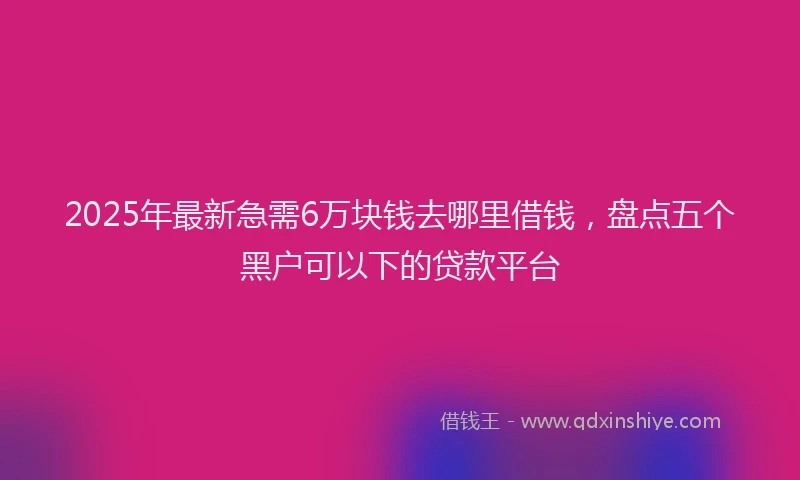 2025年最新急需6万块钱去哪里借钱，盘点五个黑户可以下的贷款平台