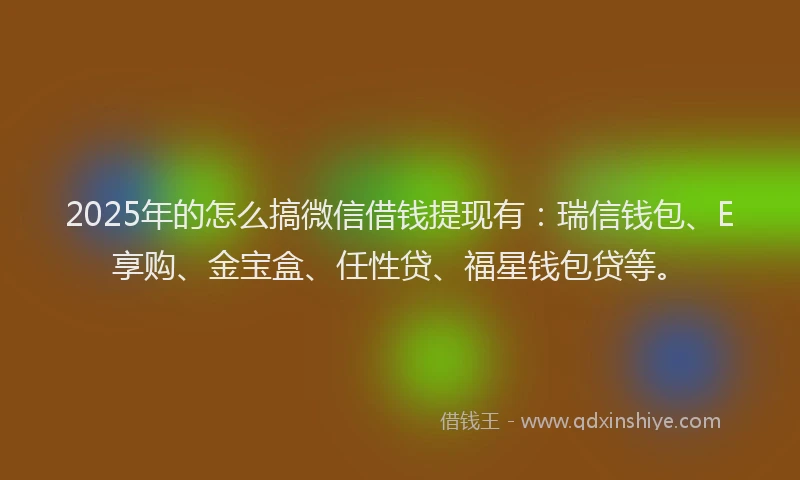2025年的怎么搞微信借钱提现有：瑞信钱包、E享购、金宝盒、任性贷、福星钱包贷等。