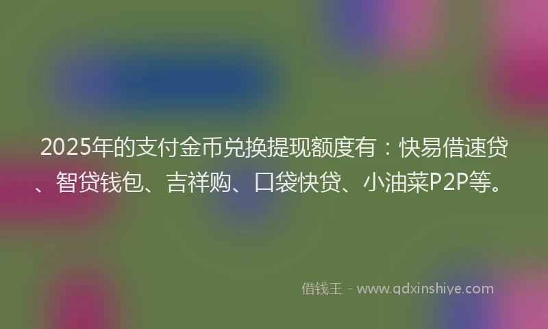 2025年的支付金币兑换提现额度有：快易借速贷、智贷钱包、吉祥购、口袋快贷、小油菜P2P等。