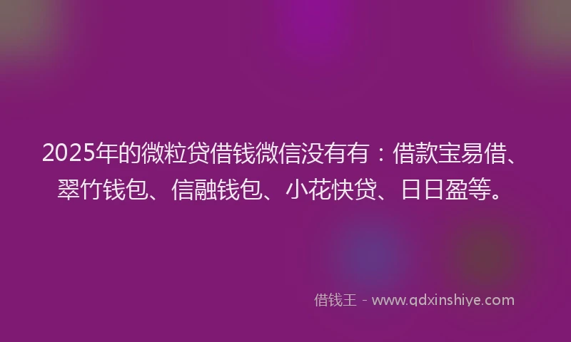 2025年的微粒贷借钱微信没有有：借款宝易借、翠竹钱包、信融钱包、小花快贷、日日盈等。