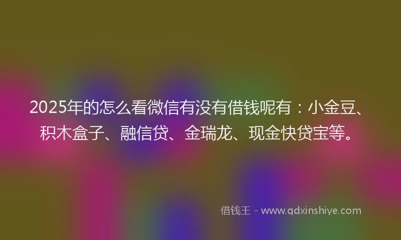2025年的怎么看微信有没有借钱呢有：小金豆、积木盒子、融信贷、金瑞龙、现金快贷宝等。