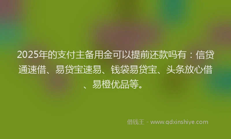 2025年的支付主备用金可以提前还款吗有：信贷通速借、易贷宝速易、钱袋易贷宝、头条放心借、易橙优品等。