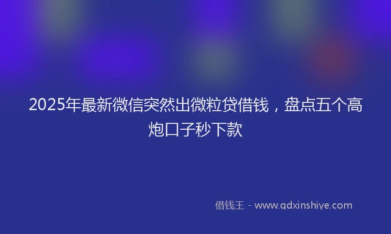 2025年最新微信突然出微粒贷借钱，盘点五个高炮口子秒下款