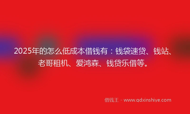 2025年的怎么低成本借钱有：钱袋速贷、钱站、老哥租机、爱鸿森、钱贷乐借等。