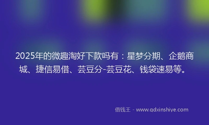 2025年的微趣淘好下款吗有：星梦分期、企鹅商城、捷信易借、芸豆分-芸豆花、钱袋速易等。