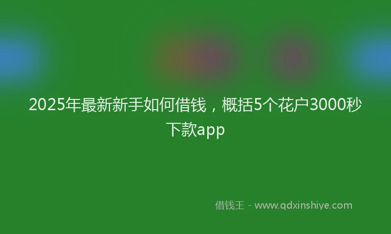 2025年最新新手如何借钱，概括5个花户3000秒下款app
