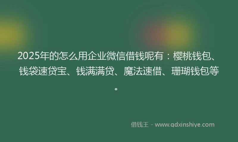 2025年的怎么用企业微信借钱呢有：樱桃钱包、钱袋速贷宝、钱满满贷、魔法速借、珊瑚钱包等。
