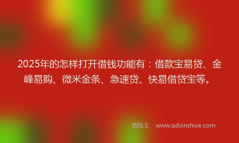 2025年的怎样打开借钱功能有：借款宝易贷、金峰易购、微米金条、急速贷、快易借贷宝等。