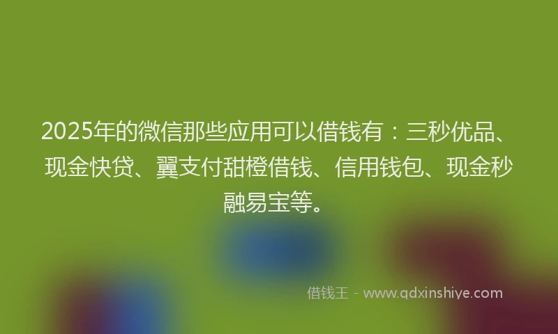 2025年的微信那些应用可以借钱有：三秒优品、现金快贷、翼支付甜橙借钱、信用钱包、现金秒融易宝等。
