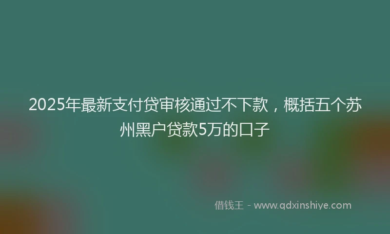 2025年最新支付贷审核通过不下款，概括五个苏州黑户贷款5万的口子