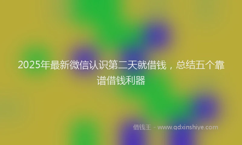 2025年最新微信认识第二天就借钱，总结五个靠谱借钱利器