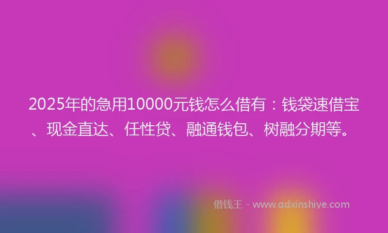 2025年的急用10000元钱怎么借有：钱袋速借宝、现金直达、任性贷、融通钱包、树融分期等。