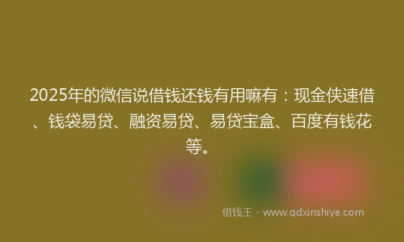 2025年的微信说借钱还钱有用嘛有：现金侠速借、钱袋易贷、融资易贷、易贷宝盒、百度有钱花等。