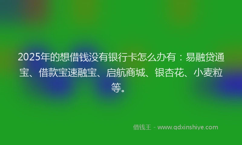 2025年的想借钱没有银行卡怎么办有：易融贷通宝、借款宝速融宝、启航商城、银杏花、小麦粒等。