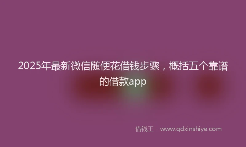 2025年最新微信随便花借钱步骤，概括五个靠谱的借款app