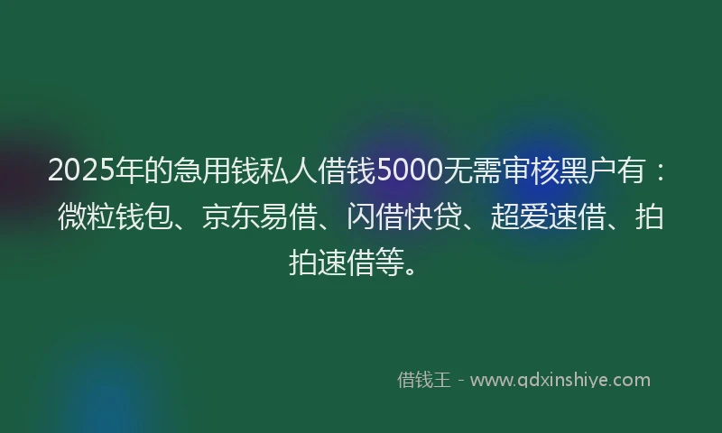 2025年的急用钱私人借钱5000无需审核黑户有：微粒钱包、京东易借、闪借快贷、超爱速借、拍拍速借等。