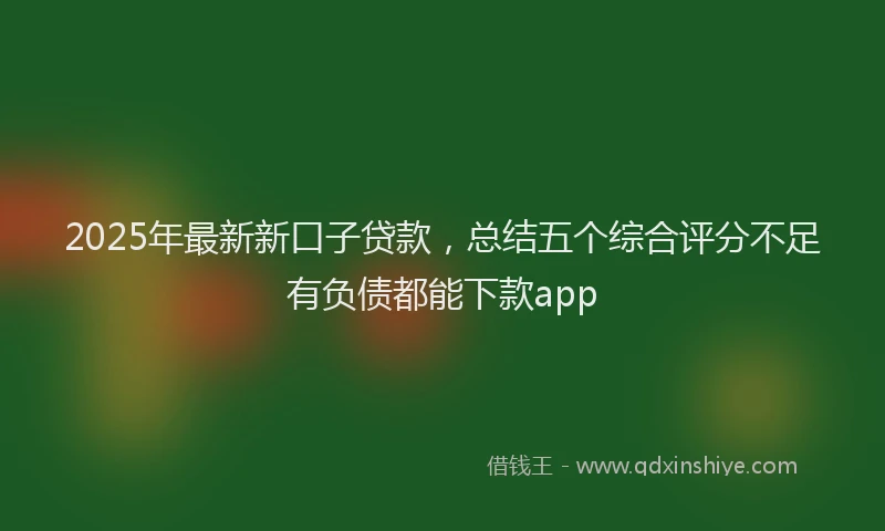 2025年最新新口子贷款，总结五个综合评分不足有负债都能下款app