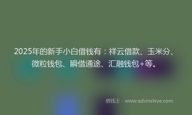 2025年的新手小白借钱有：祥云借款、玉米分、微粒钱包、瞬借通途、汇融钱包+等。