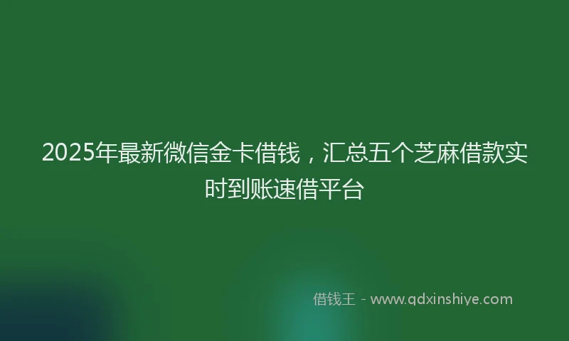 2025年最新微信金卡借钱，汇总五个芝麻借款实时到账速借平台