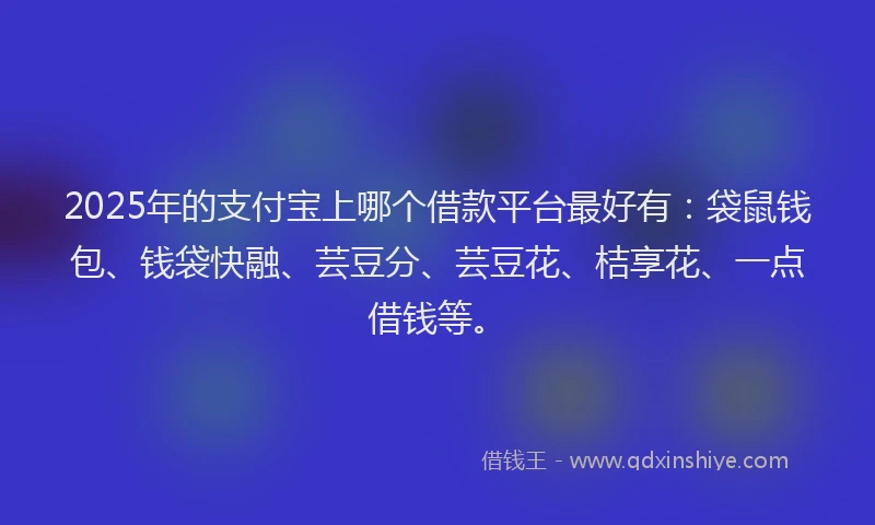 2025年的支付宝上哪个借款平台最好有：袋鼠钱包、钱袋快融、芸豆分、芸豆花、桔享花、一点借钱等。