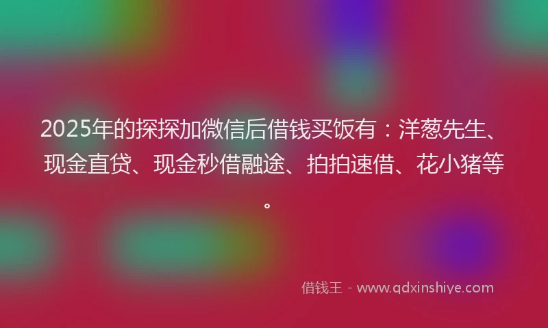 2025年的探探加微信后借钱买饭有：洋葱先生、现金直贷、现金秒借融途、拍拍速借、花小猪等。