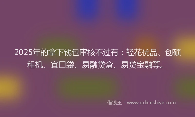 2025年的拿下钱包审核不过有：轻花优品、创硕租机、宜口袋、易融贷盒、易贷宝融等。