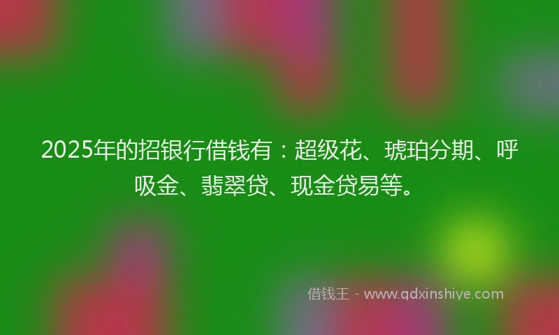 2025年的招银行借钱有：超级花、琥珀分期、呼吸金、翡翠贷、现金贷易等。