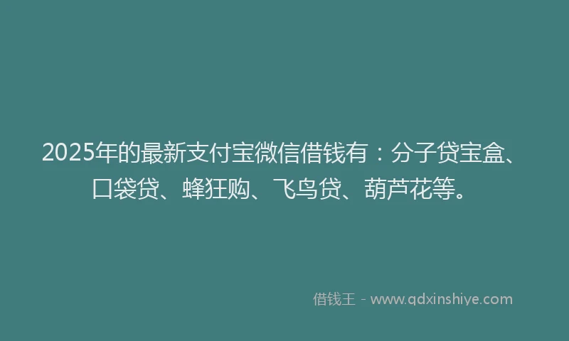 2025年的最新支付宝微信借钱有：分子贷宝盒、口袋贷、蜂狂购、飞鸟贷、葫芦花等。