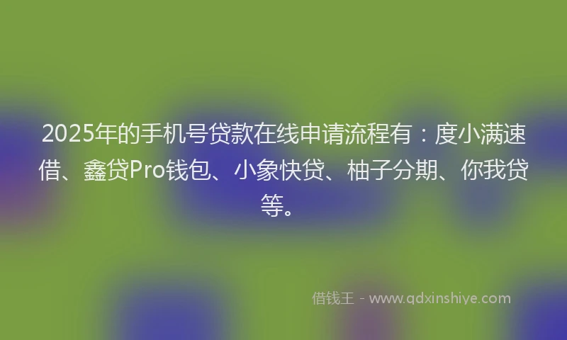 2025年的手机号贷款在线申请流程有：度小满速借、鑫贷Pro钱包、小象快贷、柚子分期、你我贷等。