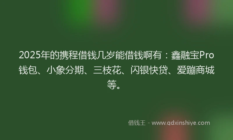 2025年的携程借钱几岁能借钱啊有：鑫融宝Pro钱包、小象分期、三枝花、闪银快贷、爱蹦商城等。