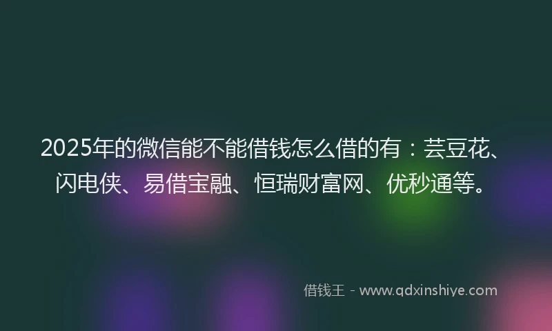 2025年的微信能不能借钱怎么借的有：芸豆花、闪电侠、易借宝融、恒瑞财富网、优秒通等。