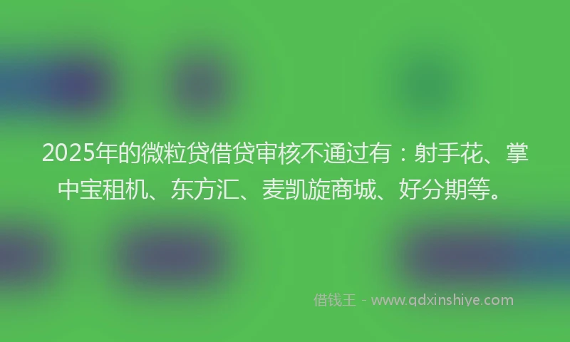 2025年的微粒贷借贷审核不通过有：射手花、掌中宝租机、东方汇、麦凯旋商城、好分期等。