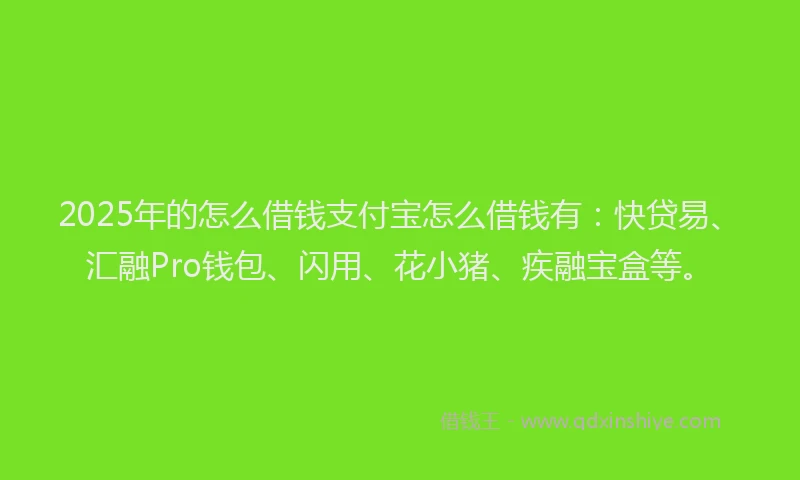 2025年的怎么借钱支付宝怎么借钱有：快贷易、汇融Pro钱包、闪用、花小猪、疾融宝盒等。